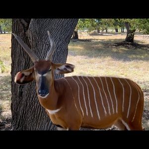 Meet your Posher, R.